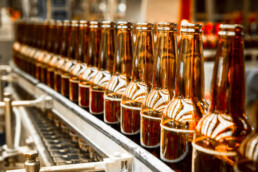 Bottles on the conveyor of a bottling plant